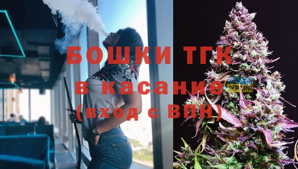 сатива Медвежьегорск