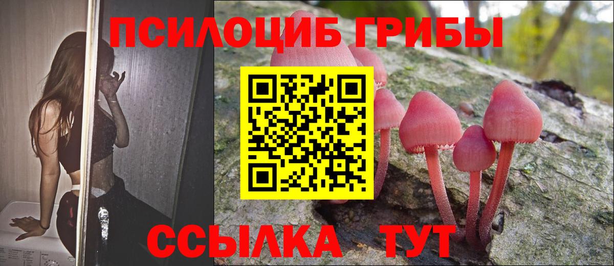 Чебаркуль  Псилоцибиновые грибы GOLDEN TEACHER  Вход с VPN 